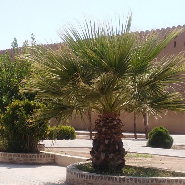 زندان اسکندر یزد زندان اسکندر یزد